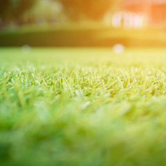 artificial green grass with sunlight effect for background, shallow depth of field