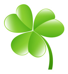 Glossy Clover Leaf