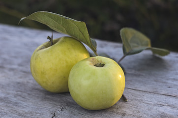 two large yellow apples lie on an old wooden table outdoors