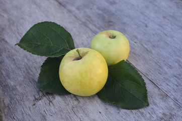 two large yellow apples lie on an old wooden table outdoors