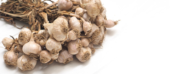 Background garlic dry on white wood macro photo and close up
