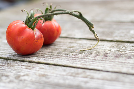 Rustic Red Heritage Tomatoes on Textured Wood