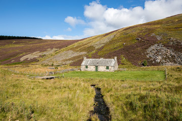 Obraz premium Cairngorms National Park, Scotland