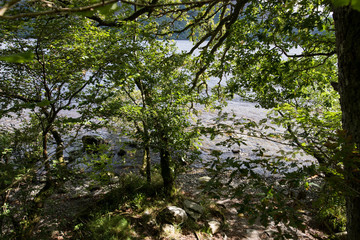 Loch Ness, Scottish Highlands, Scotland