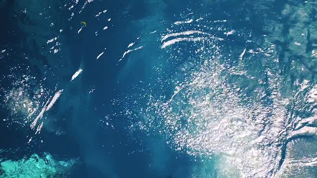 Пещерный дайвинг, сенот, Мексика