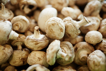 Raw champignions in supermarket or farming market