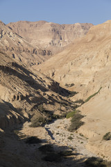 Wadi Arugot River, ein Gedi nature reserve, dead sea, Israel
