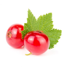 Red currant berry with leaf isolated on white background macro