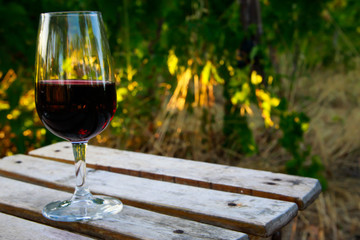 il vino in vigna