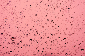 Water droplets on a pink background.