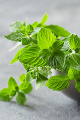 Bunch of fresh green organic mint leaf