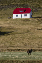 Beautiful red roofed farm in Iceland.