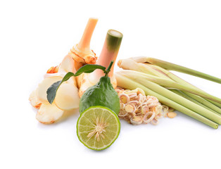 Lemongrass, galangal and kaffir lime on white background.