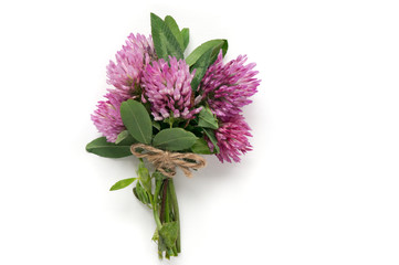 Isolated clover flowers bouquet.