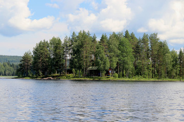 Typical Finnish nature fir woods near lake