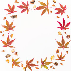 Autumn composition. Frame made of autumn maple leaves, pine cones on white background. Flat lay, top view