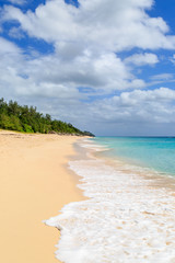 Obraz premium A Bermudan Beach