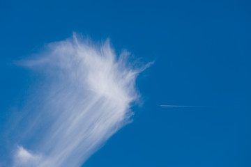 cirrus in the blue sky