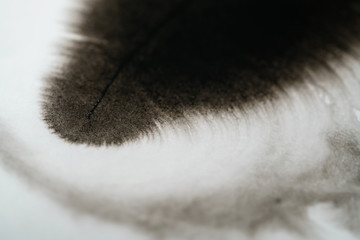 closeup black ink corner spreading on wet paper angle view