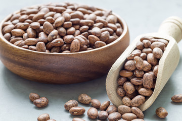 Uncooked dry pinto beans in wooden bowl and scoop, horizontal