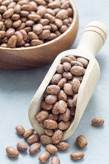 Uncooked dry pinto beans in wooden scoop and in bowl, vertical