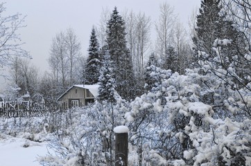 Сказочный домик в зимнем лесу