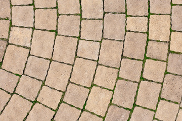 Stone paving texture. Abstract pavement background.