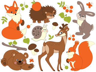 Fototapeta premium Vector Woodland Animals 