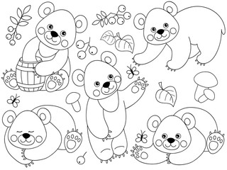 Vector Forest Bears