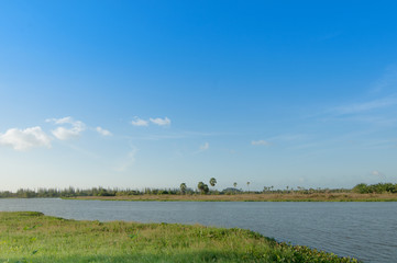 Water canal in field, trees and palm trees, blue sky background