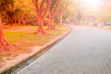 Naklejka premium Walkway in the public park. Empty bicycle road in a park on early morning