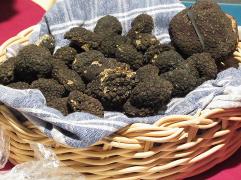 Group of italian expensive black truffles on the traditional canvas in the wicker basket