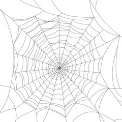 Obraz premium Spider web isolated on white, vector illustration