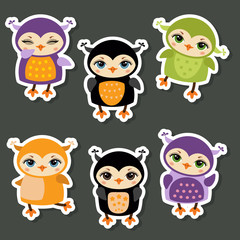 Set of cute Owls.