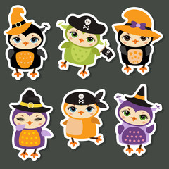 Fototapeta premium Set of cute Owls.