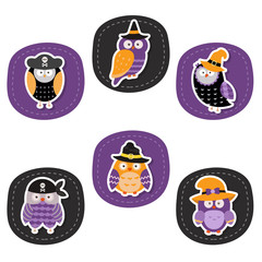 Set of cute Owls.