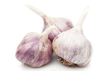 garlic isolated on white background