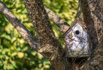 Caseta para p&aacute;jaros