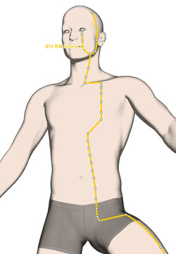 Drawing Acupuncture Point ST4 Dicang, 3D Illustration