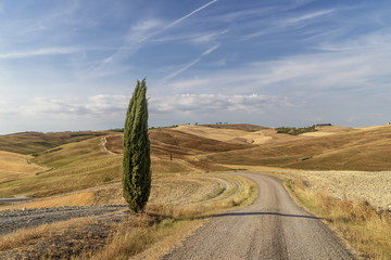 A beautiful glimpse of the Tuscan countryside in the San Quirico d'Orcia area, Siena, Italy © Marco Taliani