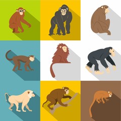 Different monkey icon set, flat style