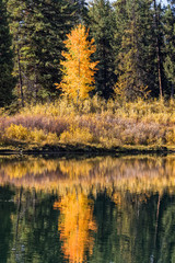 Scenic Autumn Landscape Reflection