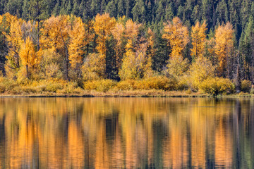 Fototapeta na wymiar Scenic Autumn Landscape Reflection