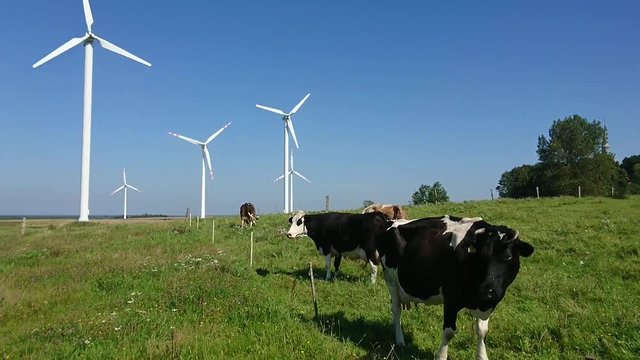 elektrownia wiatrowa, wiatraki