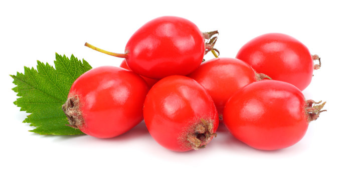 hawthorn berry isolated on white. Clipping Path