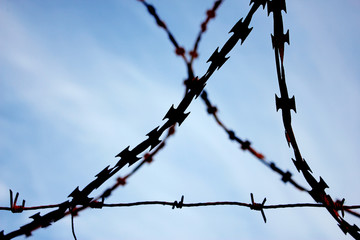 Restricted area - metal barbed wire on sky background.
