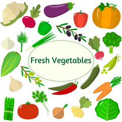 Set of vegetables. Organic vegetarian healthy food isolated on white background. Vector.