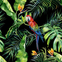 Illustration aquarelle transparente de feuilles tropicales, jungle dense. Perroquet ara écarlate. Fleur de Strelitzia reginae. Peinte à la main. Modèle avec motif d& 39 été tropique. Feuilles de cocotier.