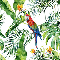 Seamless watercolor illustration of tropical leaves, dense jungle. Scarlet macaw parrot. Strelitzia reginae flower. Hand painted. Pattern with tropic summertime motif. Coconut palm leaves.