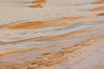 magnificent sandy waves with rippled surface at sunny day
